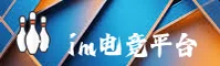 IM电竞(IM)官方网站 - 官方正版下载